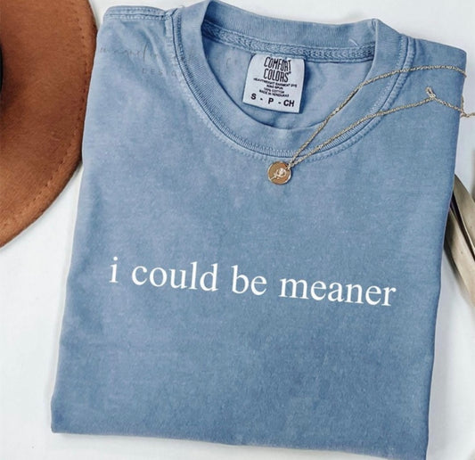 I Could Be Meaner {Screen Print Transfer} - ADULT 10x1